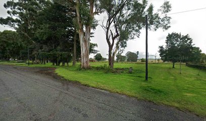 072690751481