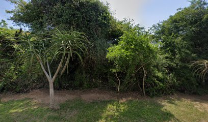 623037299455